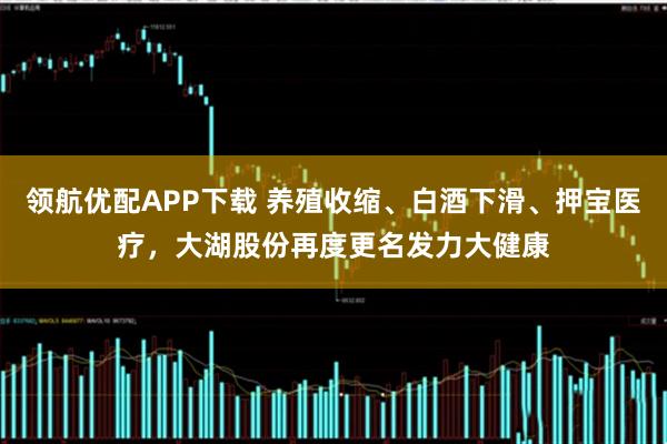 领航优配APP下载 养殖收缩、白酒下滑、押宝医疗，大湖股份再度更名发力大健康