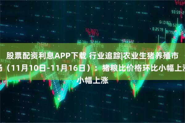股票配资利息APP下载 行业追踪|农业生猪养殖市场(11月10日-11月16日):猪粮比价格环比小幅上涨