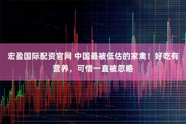 宏盈国际配资官网 中国最被低估的家禽!好吃有营养,可惜一直被忽略